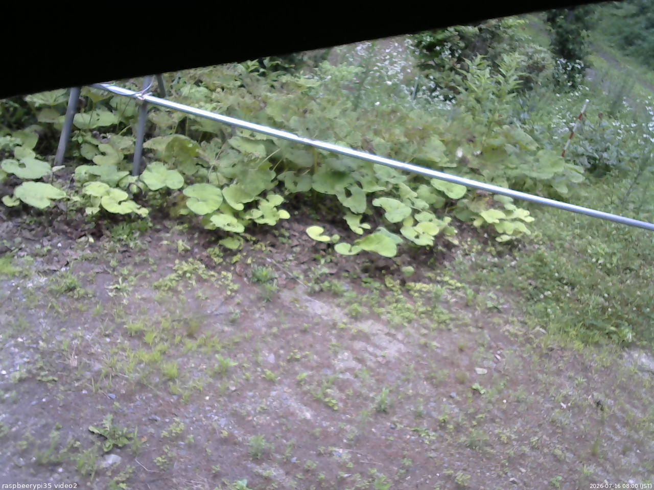 長野県菅平高原 ゆたか山荘 駐車場 2026/07/16 08:00