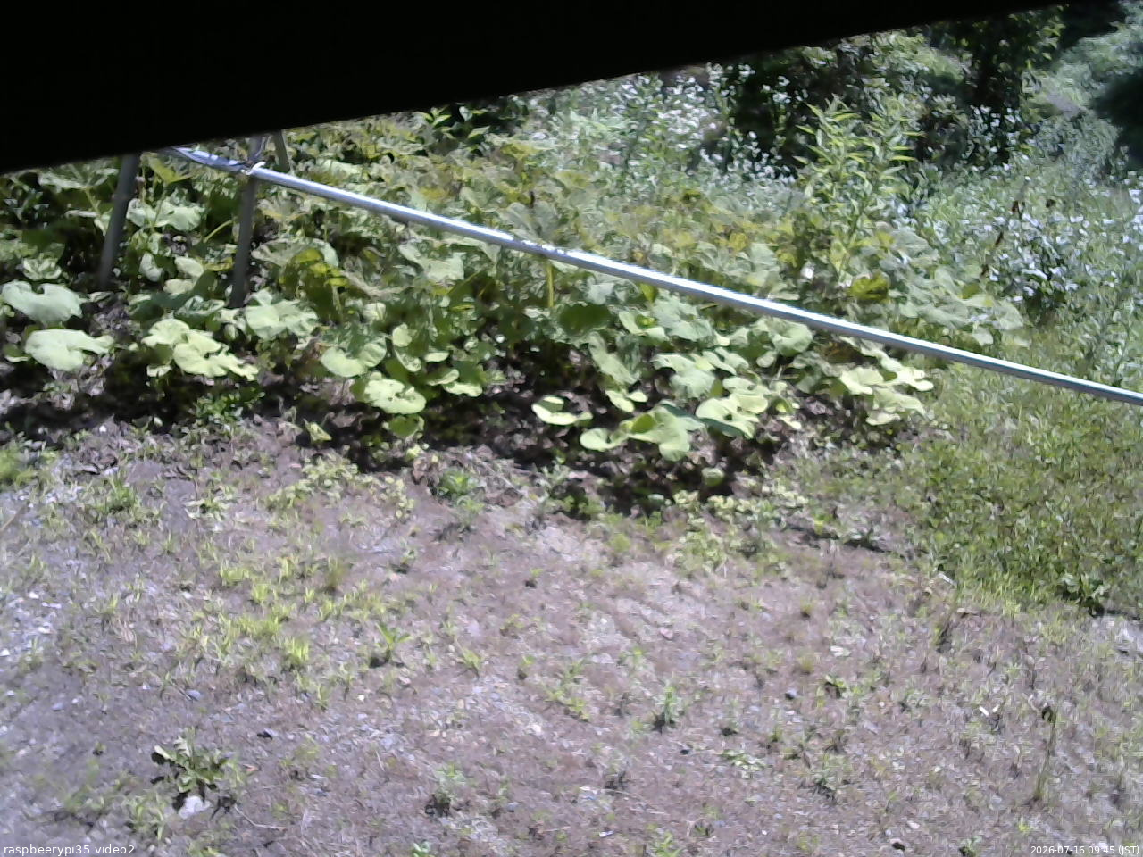 長野県菅平高原 ゆたか山荘 駐車場 2026/07/16 09:45