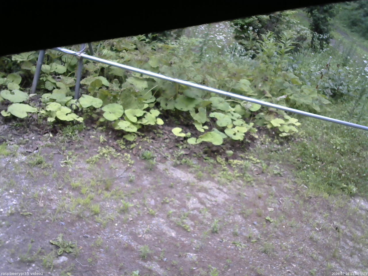 長野県菅平高原 ゆたか山荘 駐車場 2026/07/16 11:00
