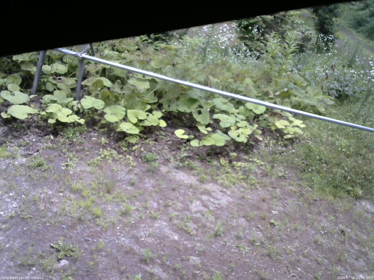 長野県菅平高原 ゆたか山荘 駐車場 2026/07/16 11:45