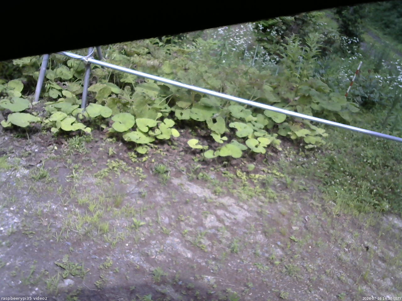 長野県菅平高原 ゆたか山荘 駐車場 2026/07/16 14:30