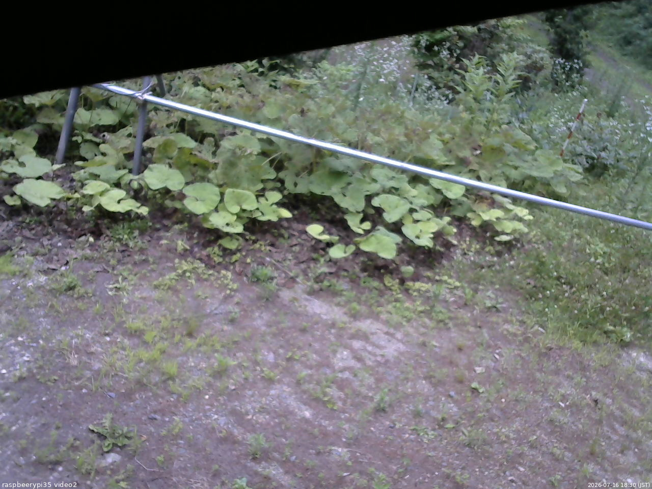 長野県菅平高原 ゆたか山荘 駐車場 2026/07/16 18:30