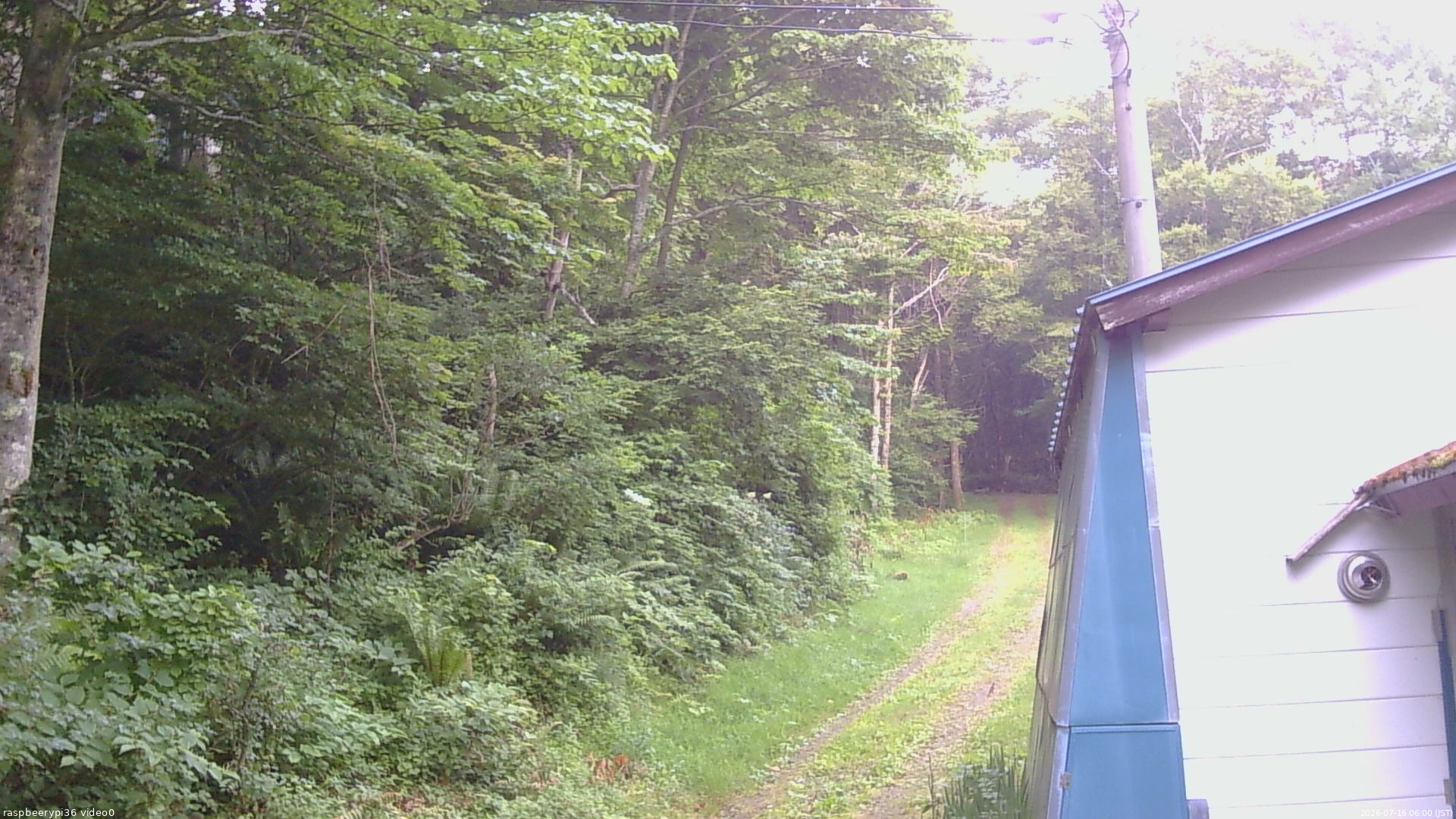 長野県菅平高原 ゆたか山荘 ゆたか山荘 2026/07/16 06:00