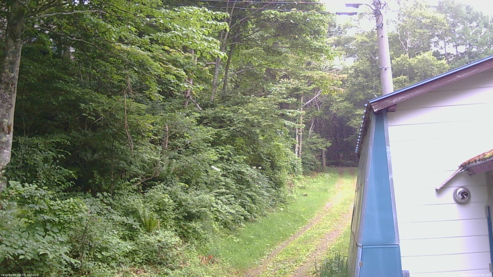 長野県菅平高原 ゆたか山荘 ゆたか山荘 2026/07/16 07:00