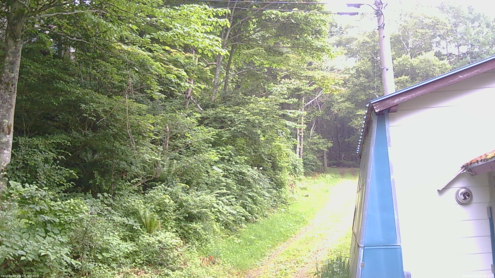 長野県菅平高原 ゆたか山荘 ゆたか山荘 2026/07/16 07:30