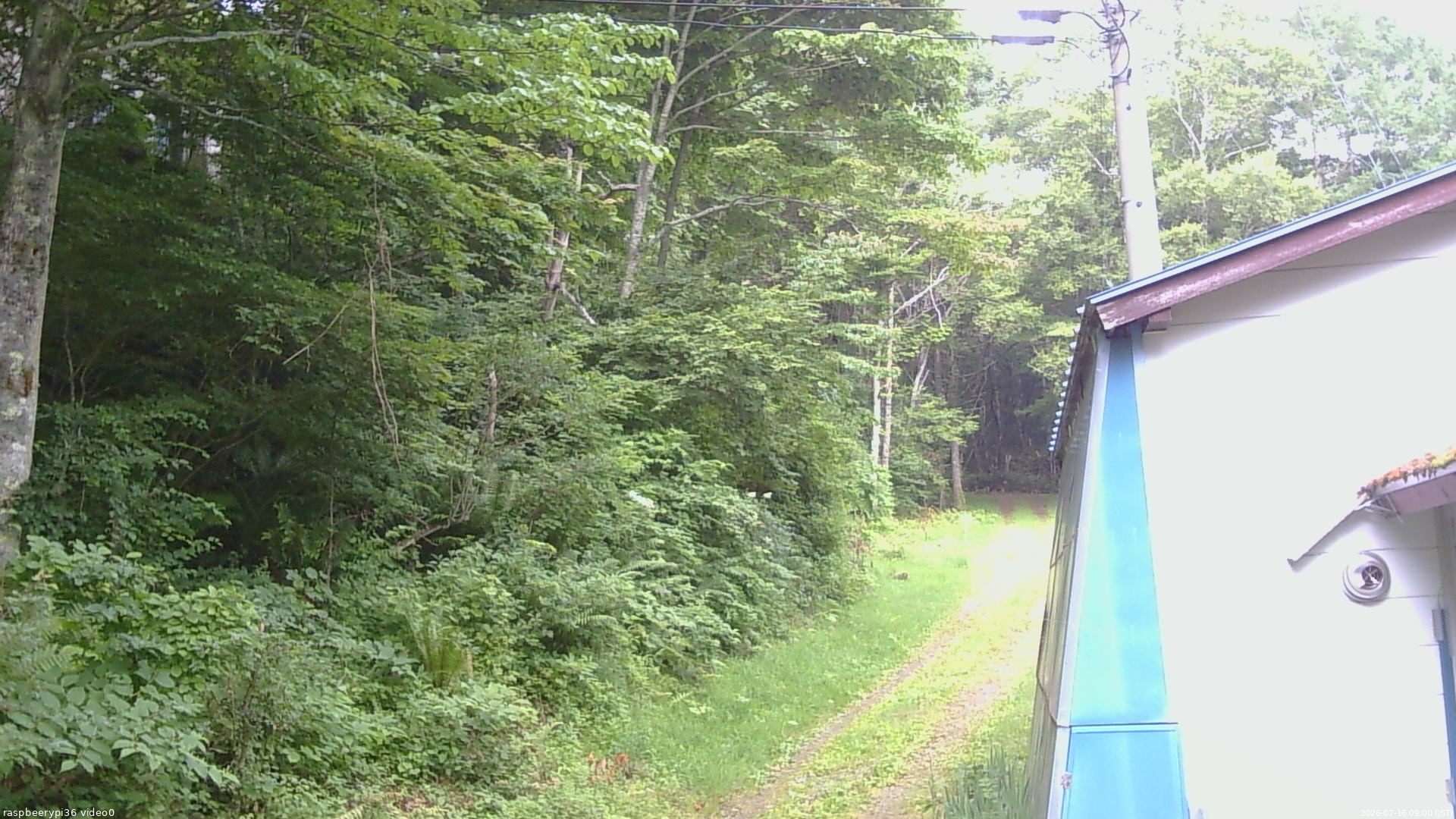 長野県菅平高原 ゆたか山荘 ゆたか山荘 2026/07/16 09:00