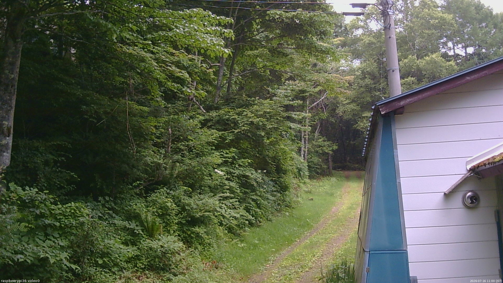 長野県菅平高原 ゆたか山荘 ゆたか山荘 2026/07/16 11:00