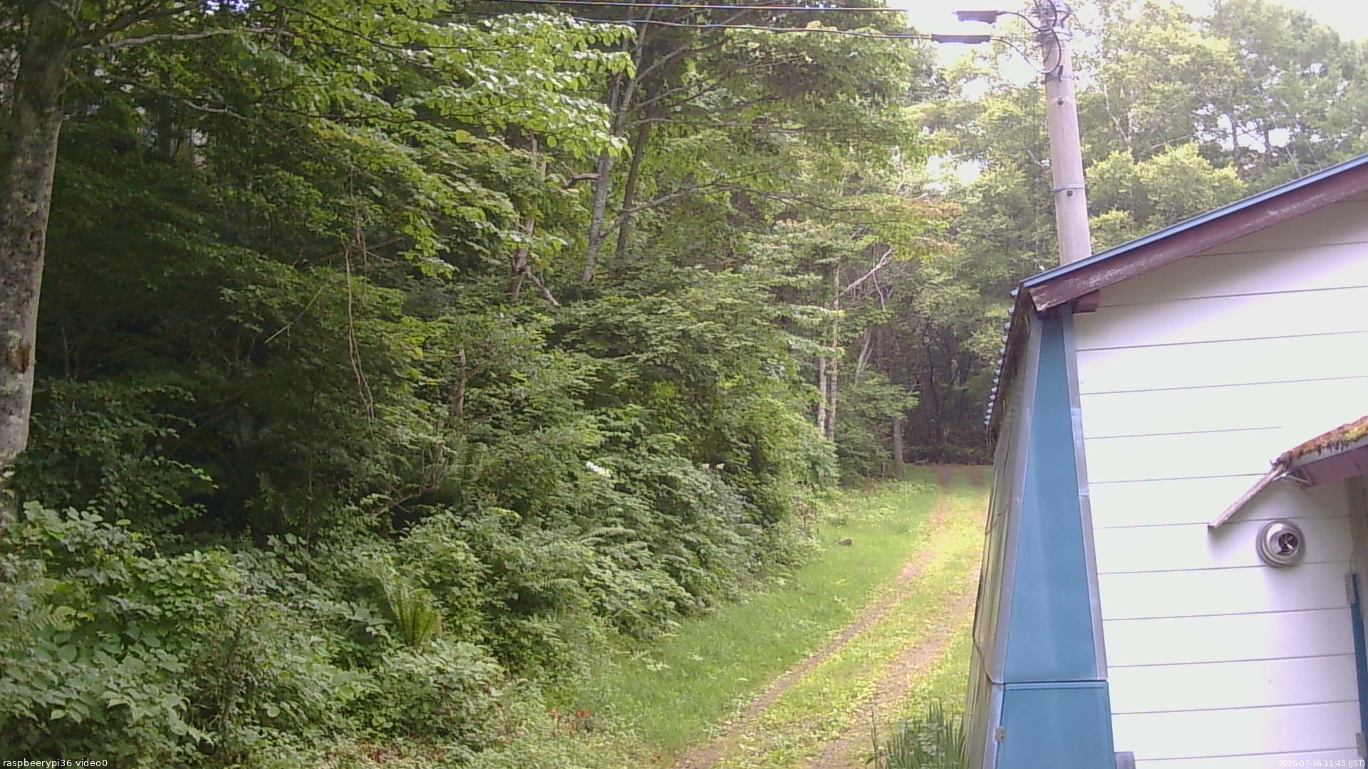 長野県菅平高原 ゆたか山荘 ゆたか山荘 2026/07/16 11:45