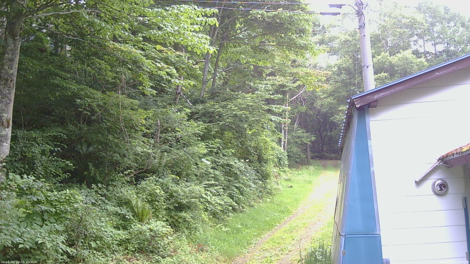 長野県菅平高原 ゆたか山荘 ゆたか山荘 2026/07/16 13:00