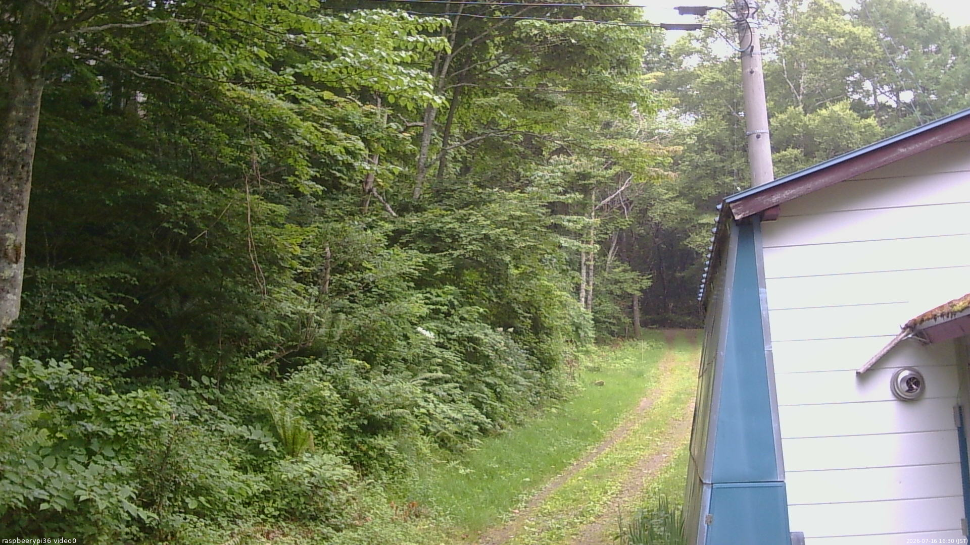 長野県菅平高原 ゆたか山荘 ゆたか山荘 2026/07/16 16:30