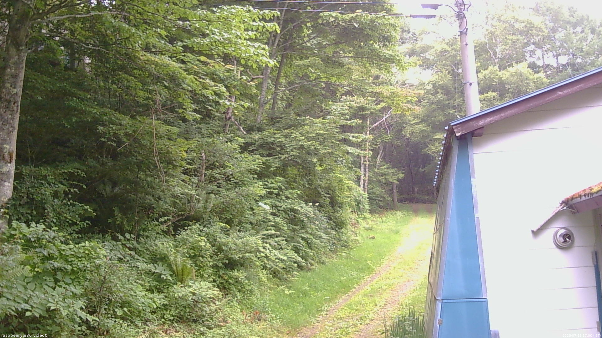 長野県菅平高原 ゆたか山荘 ゆたか山荘 2026/07/16 17:00