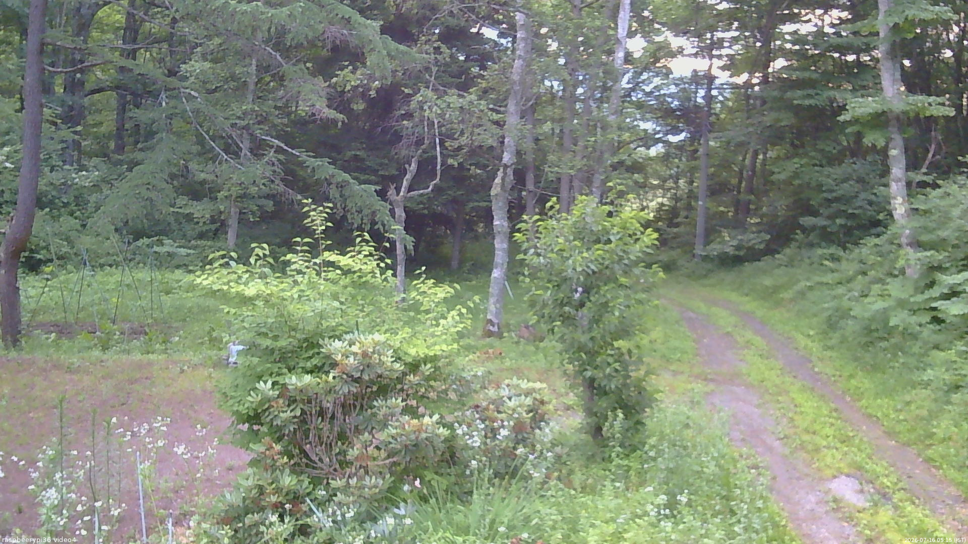 長野県菅平高原 ゆたか山荘 坂上 2026/07/16 05:15