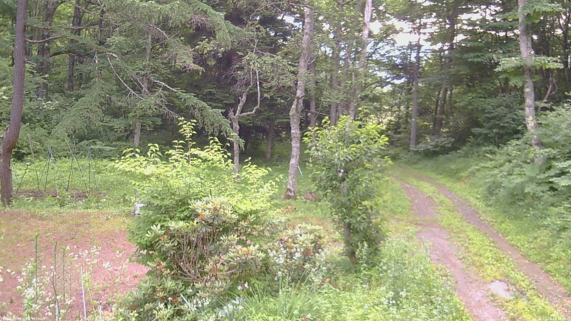 長野県菅平高原 ゆたか山荘 坂上 2026/07/16 06:15