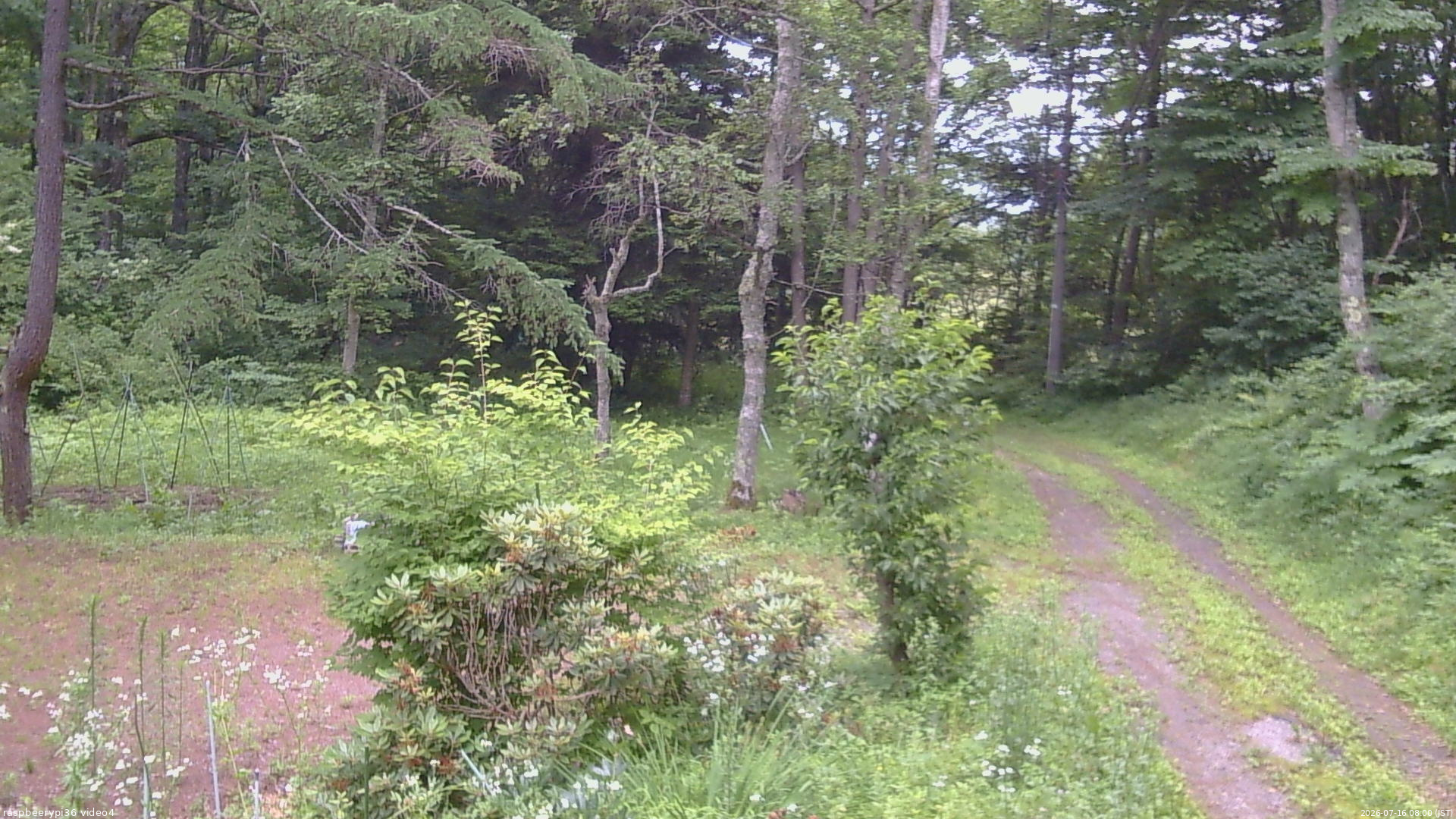 長野県菅平高原 ゆたか山荘 坂上 2026/07/16 08:00