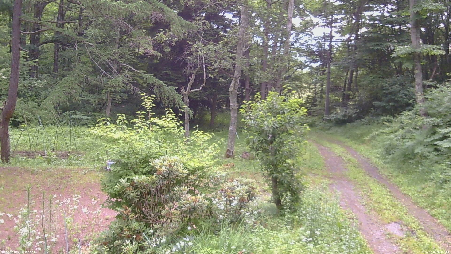 長野県菅平高原 ゆたか山荘 坂上 2026/07/16 08:45