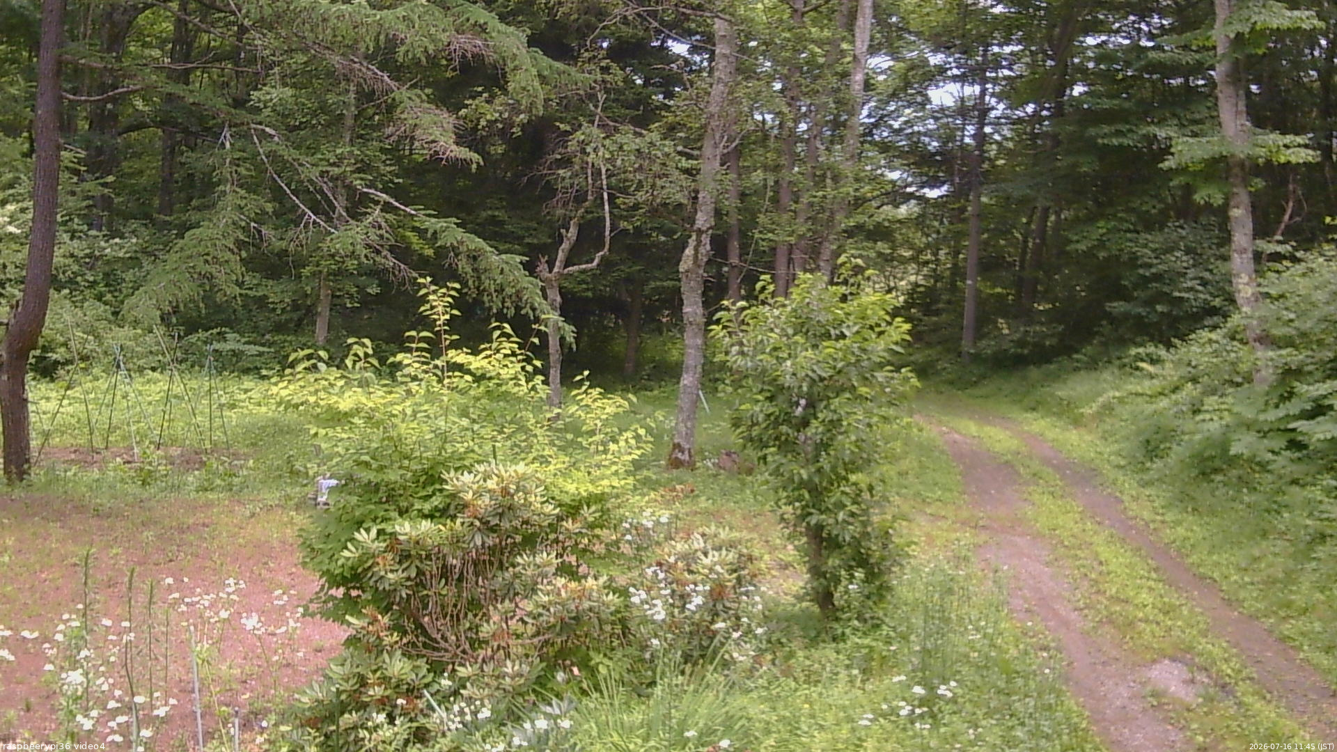 長野県菅平高原 ゆたか山荘 坂上 2026/07/16 11:45