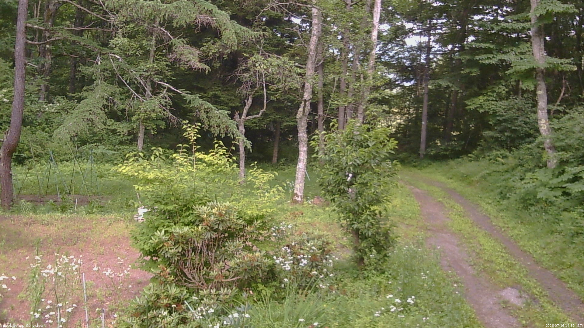 長野県菅平高原 ゆたか山荘 坂上 2026/07/16 14:30