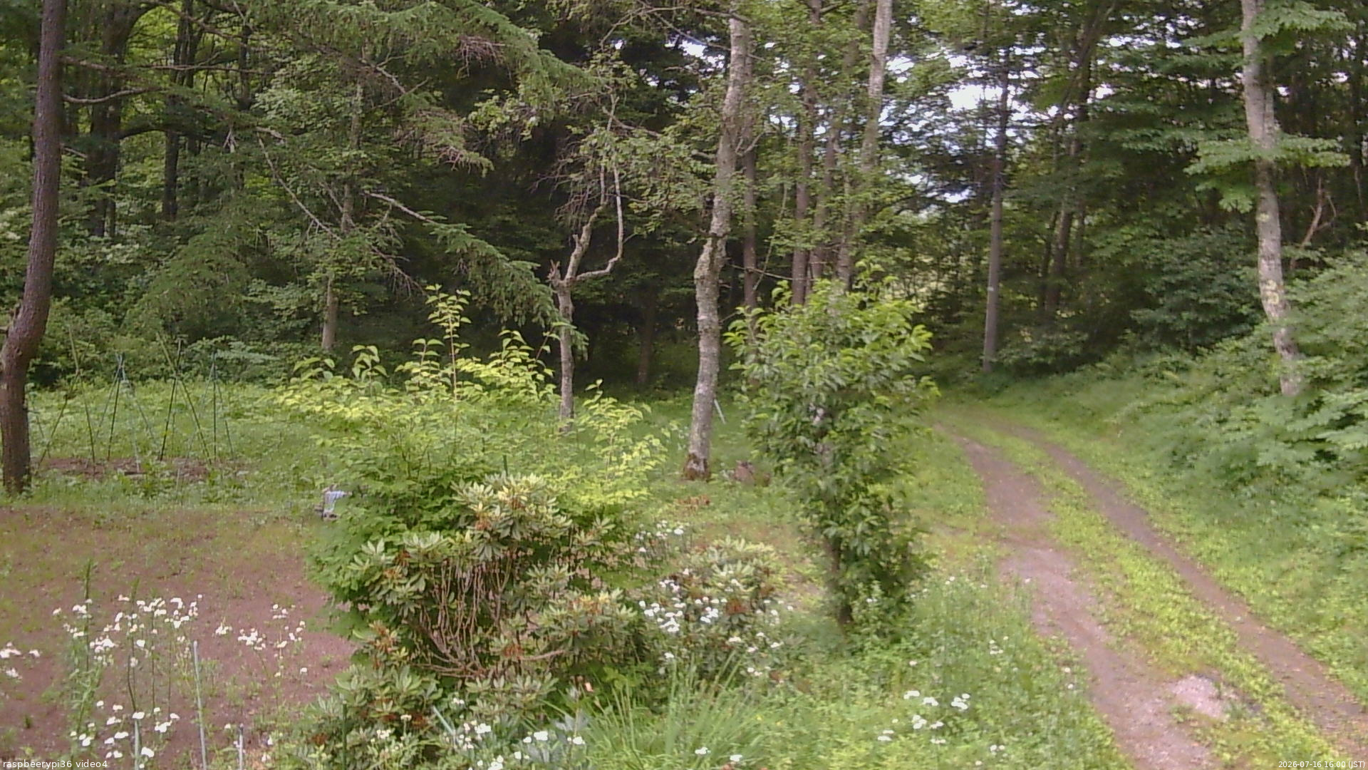長野県菅平高原 ゆたか山荘 坂上 2026/07/16 16:00
