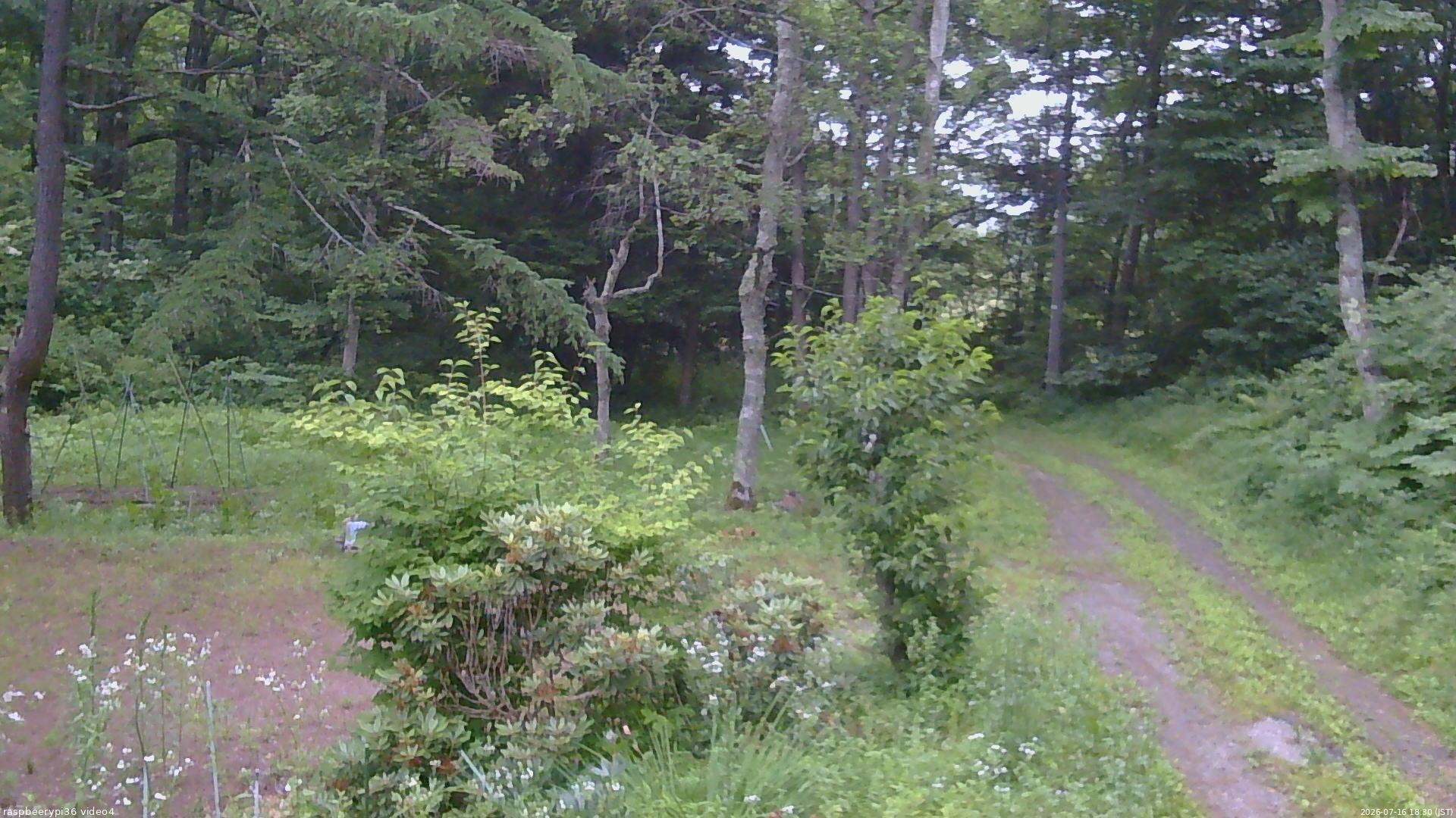 長野県菅平高原 ゆたか山荘 坂上 2026/07/16 18:30