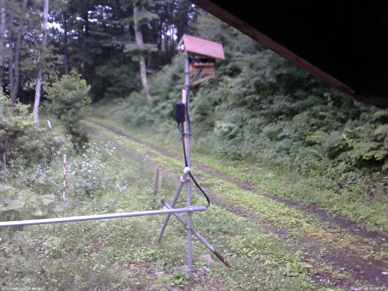 長野県菅平高原 ゆたか山荘 南側 2026/07/17 05:30