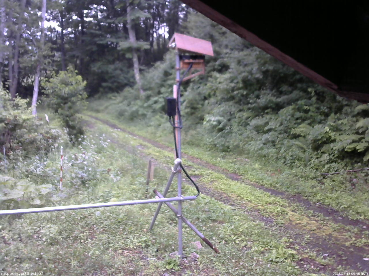 長野県菅平高原 ゆたか山荘 南側 2026/07/17 05:45