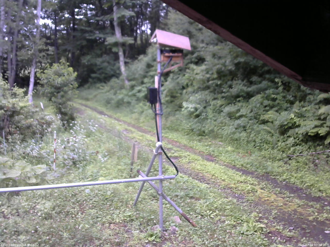 長野県菅平高原 ゆたか山荘 南側 2026/07/17 07:30