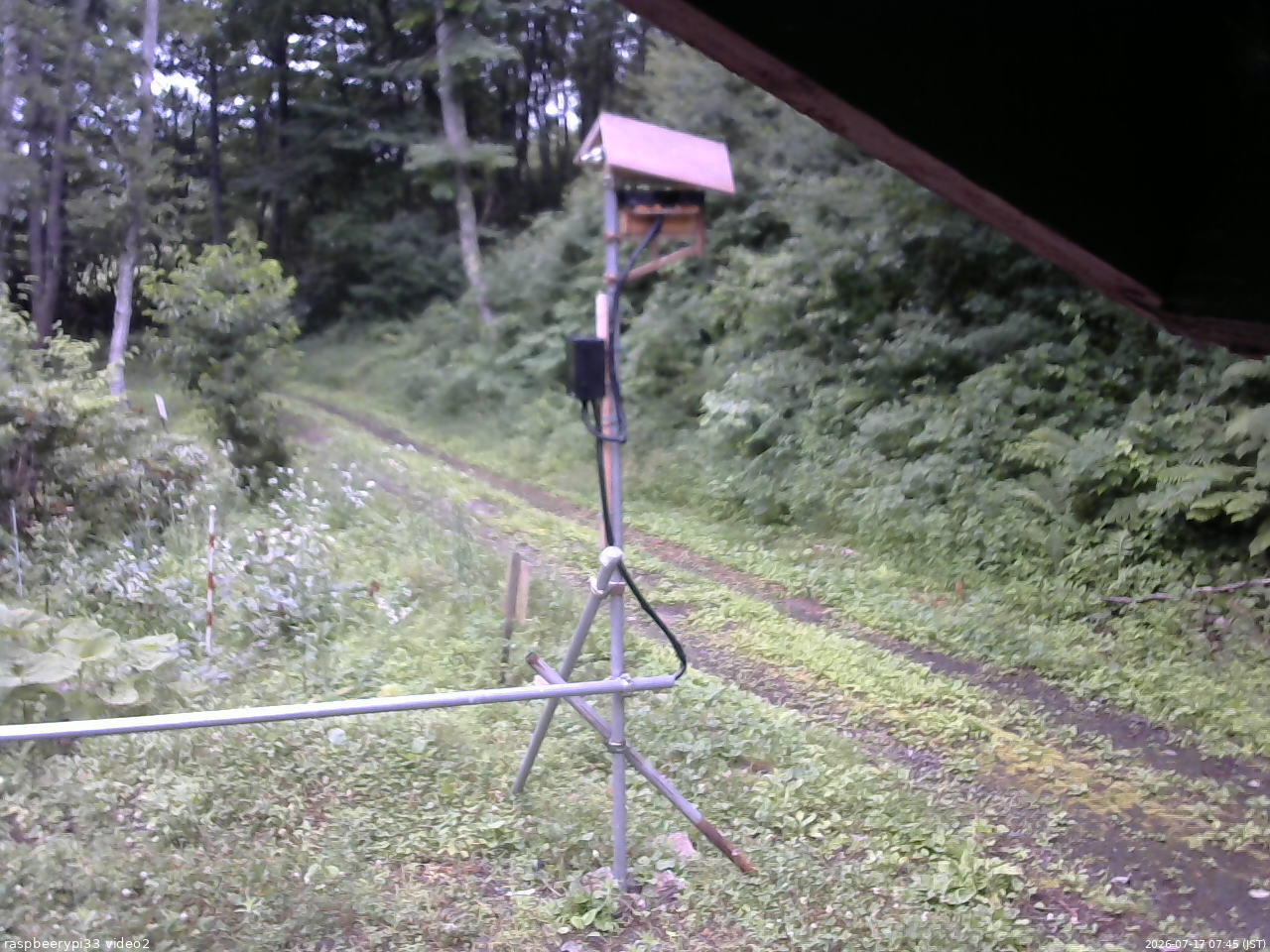 長野県菅平高原 ゆたか山荘 南側 2026/07/17 07:45