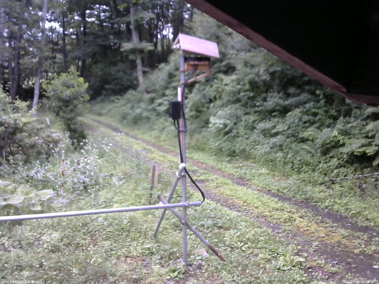 長野県菅平高原 ゆたか山荘 南側 2026/07/17 08:00