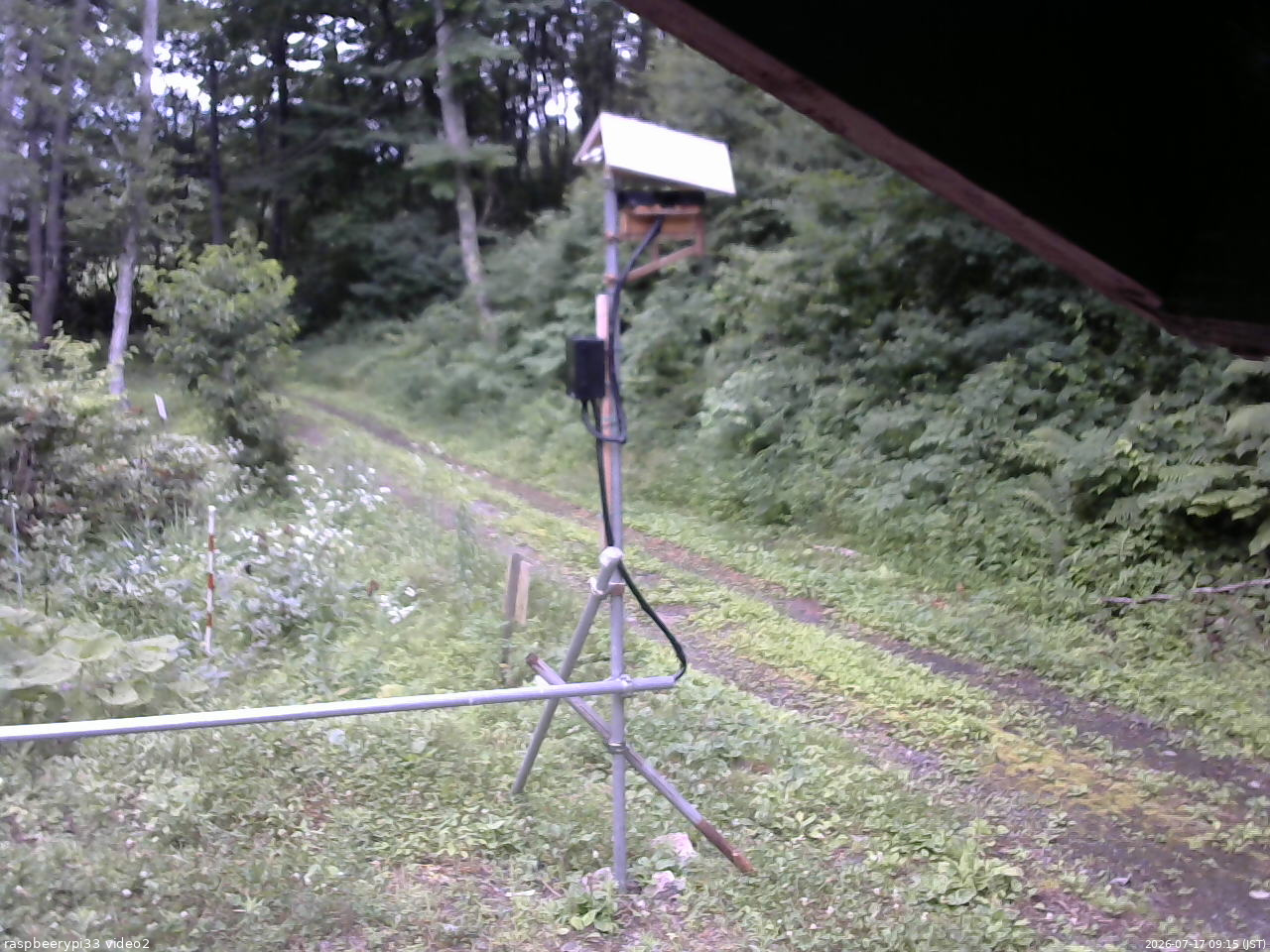 長野県菅平高原 ゆたか山荘 南側 2026/07/17 09:15