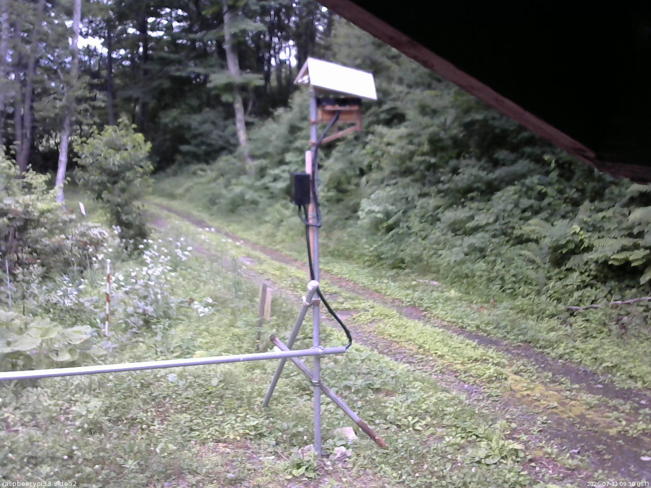 長野県菅平高原 ゆたか山荘 南側 2026/07/17 09:30