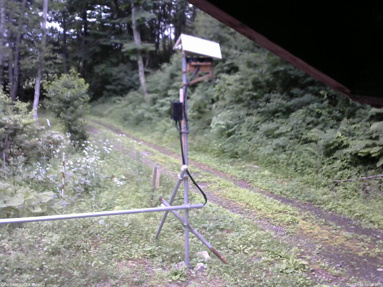長野県菅平高原 ゆたか山荘 南側 2026/07/17 10:00