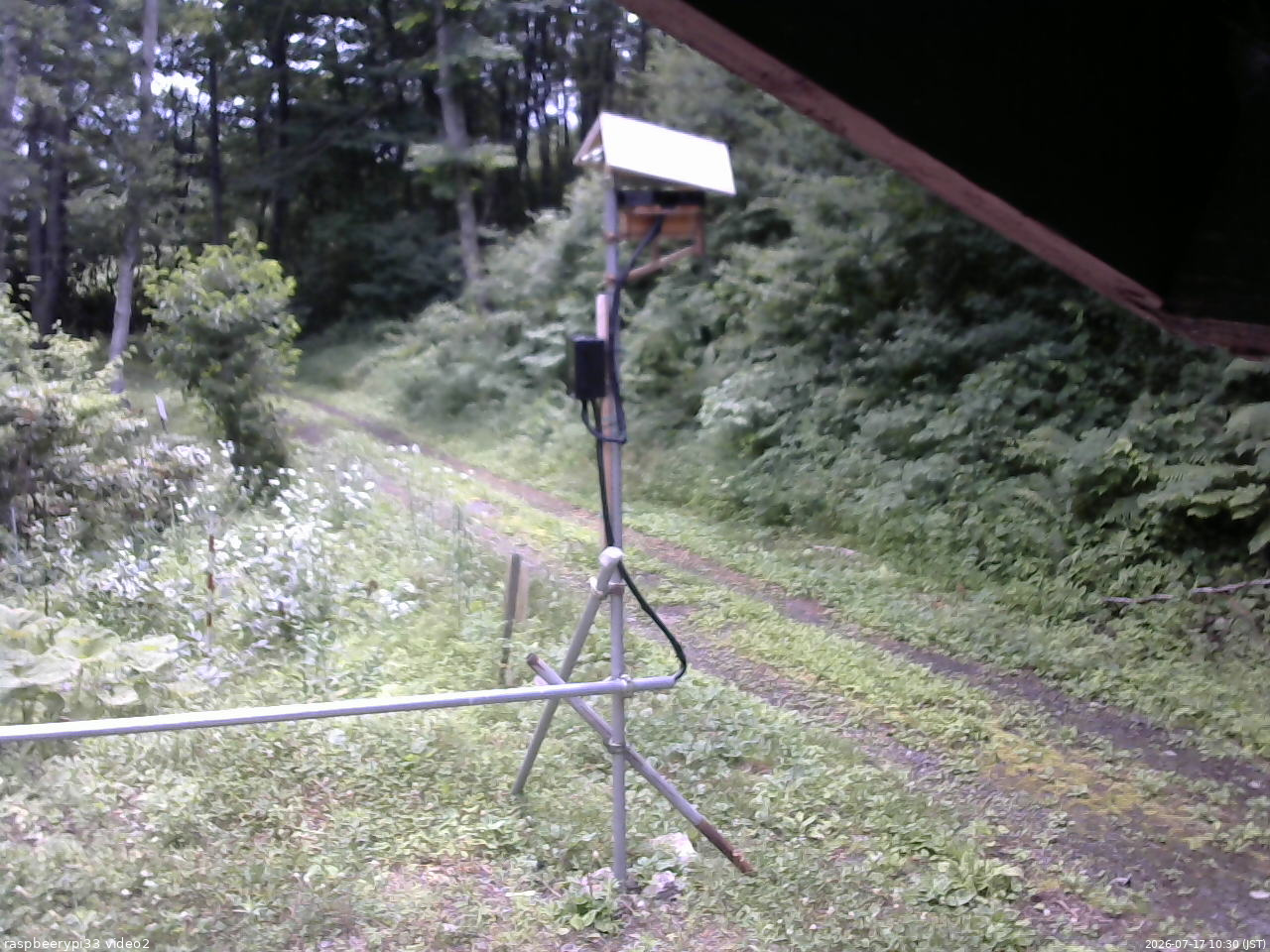 長野県菅平高原 ゆたか山荘 南側 2026/07/17 10:30