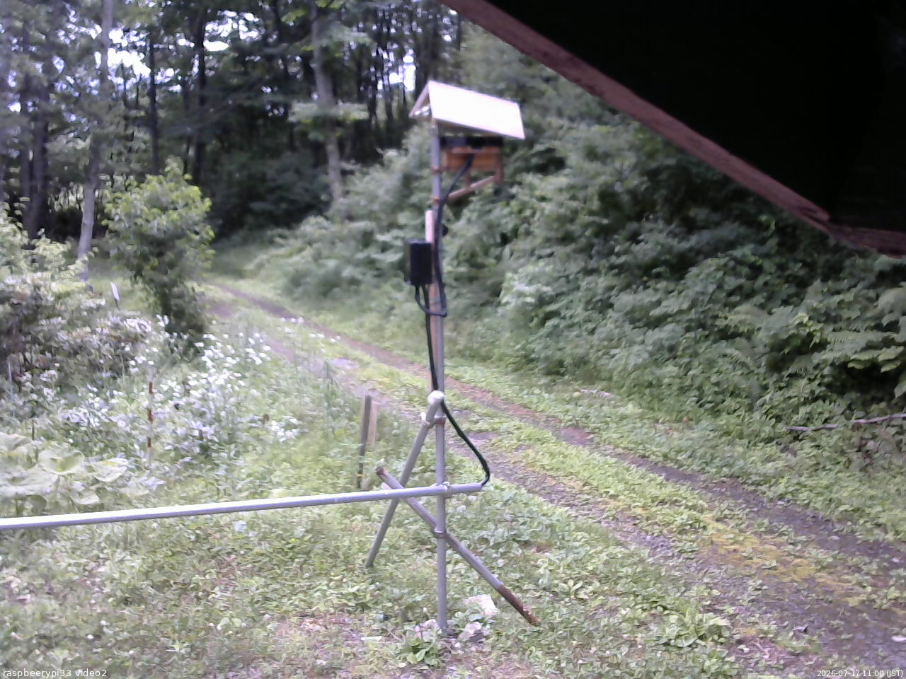 長野県菅平高原 ゆたか山荘 南側 2026/07/17 11:00