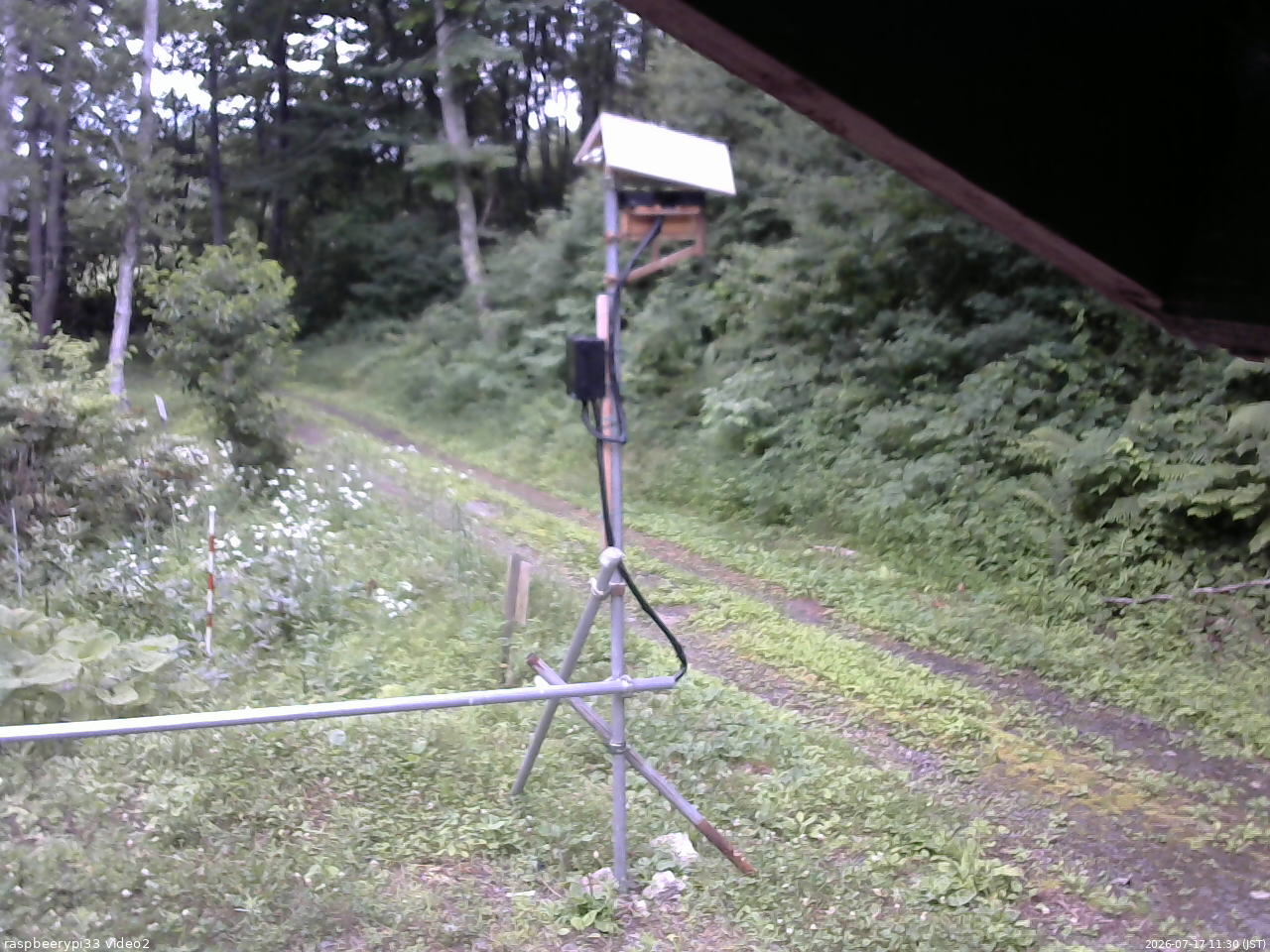 長野県菅平高原 ゆたか山荘 南側 2026/07/17 11:30