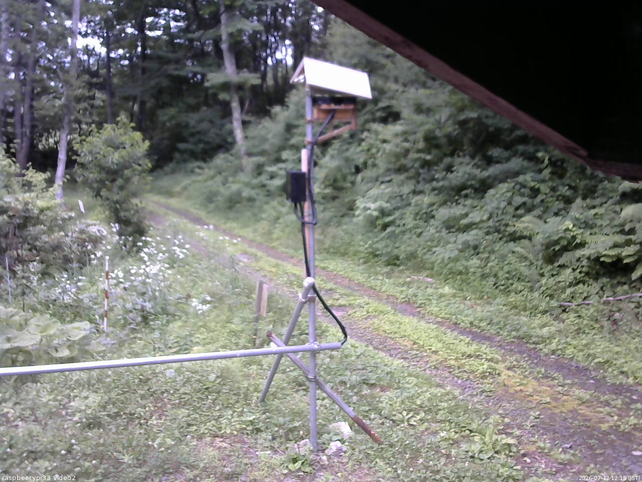 長野県菅平高原 ゆたか山荘 南側 2026/07/17 12:15