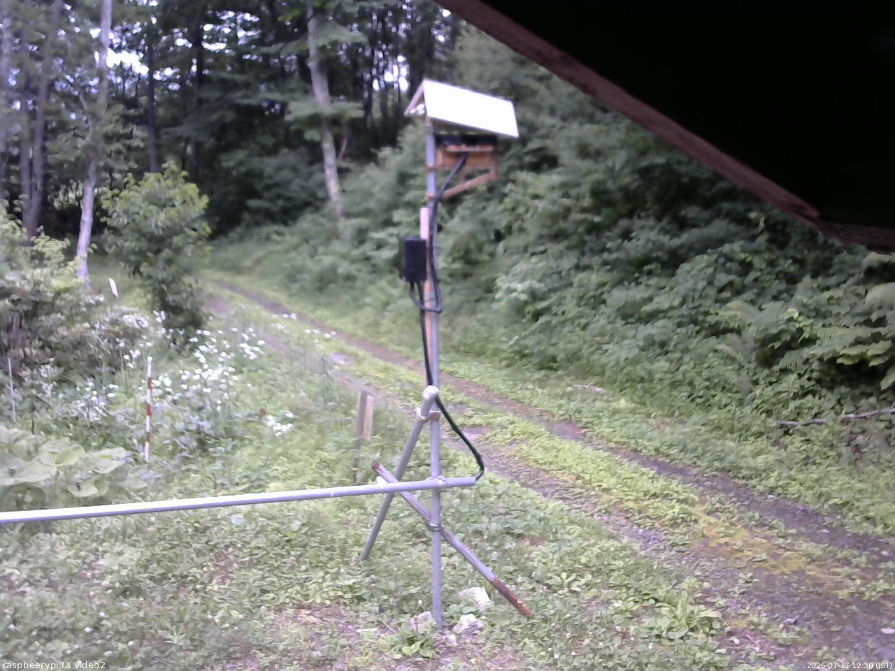 長野県菅平高原 ゆたか山荘 南側 2026/07/17 12:30
