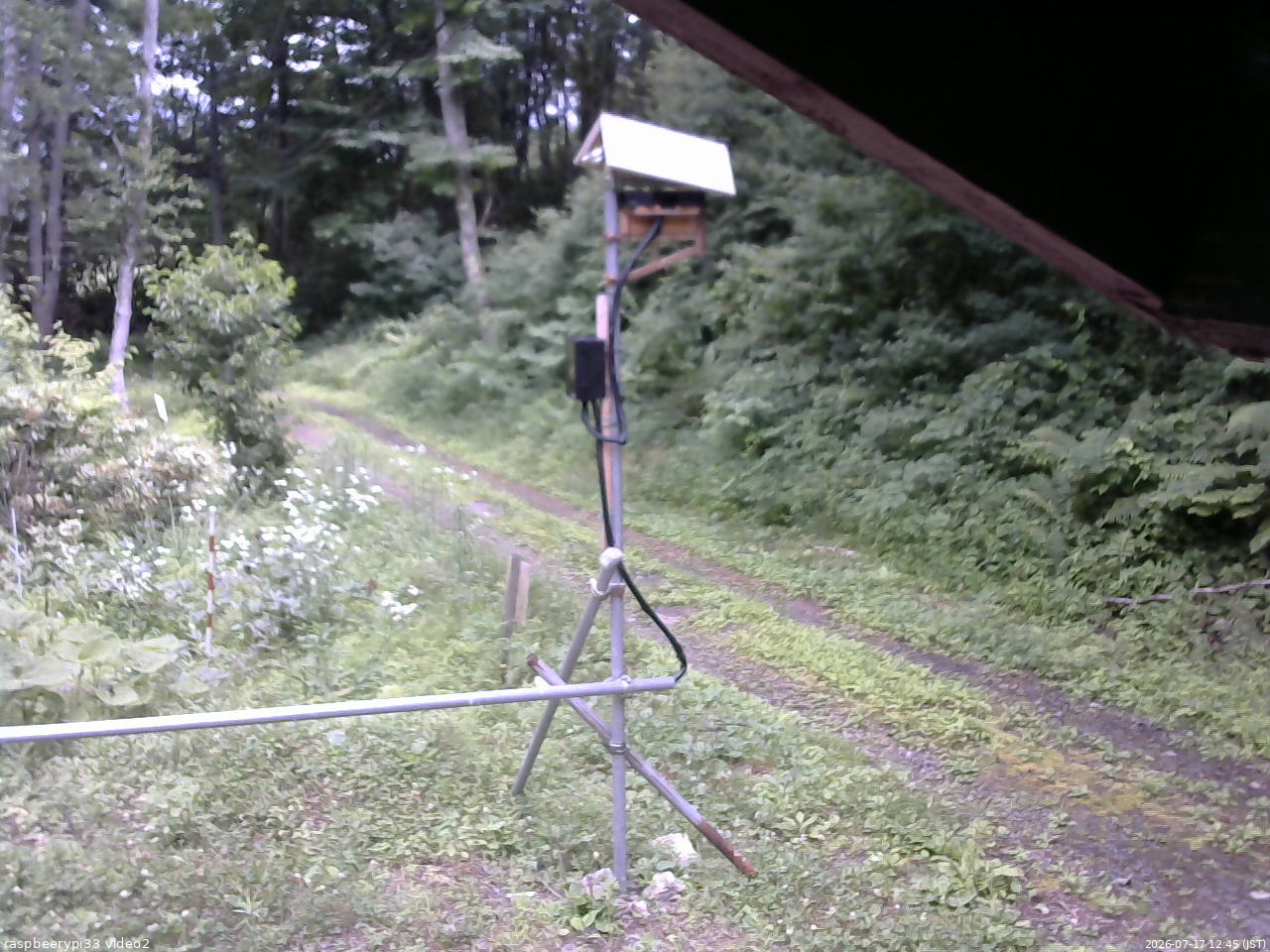 長野県菅平高原 ゆたか山荘 南側 2026/07/17 12:45
