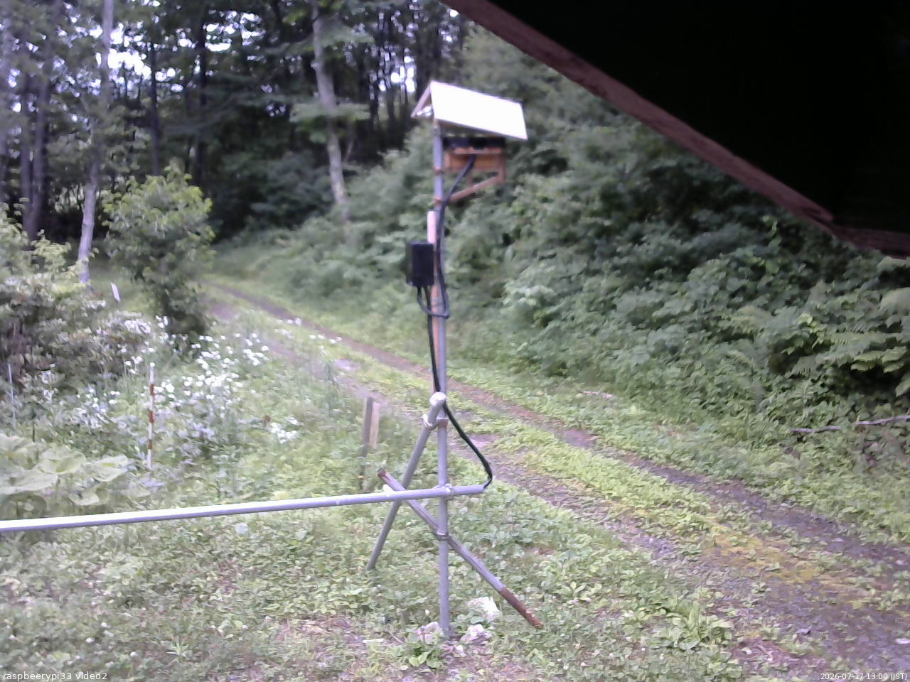 長野県菅平高原 ゆたか山荘 南側 2026/07/17 13:00