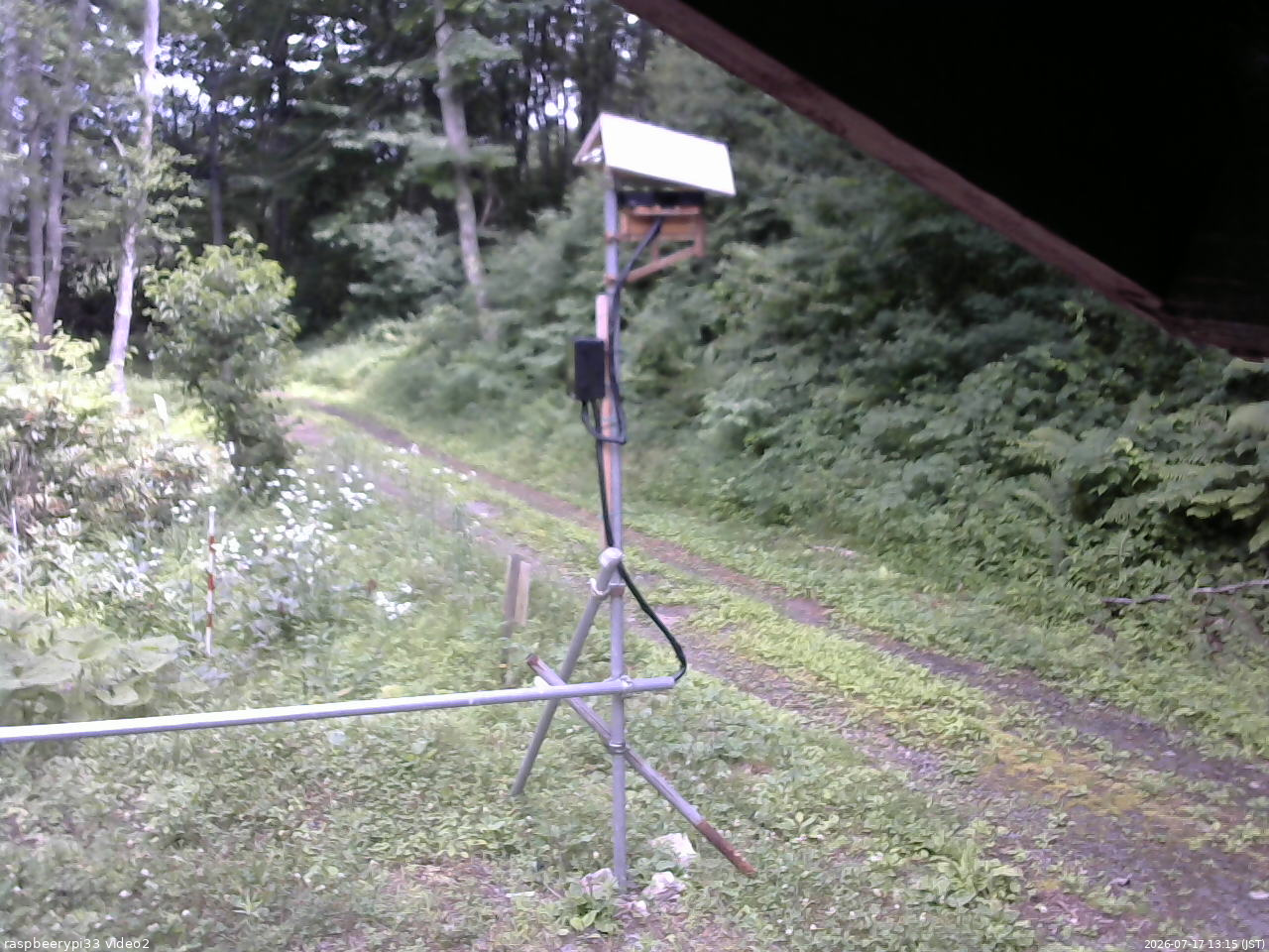 長野県菅平高原 ゆたか山荘 南側 2026/07/17 13:15