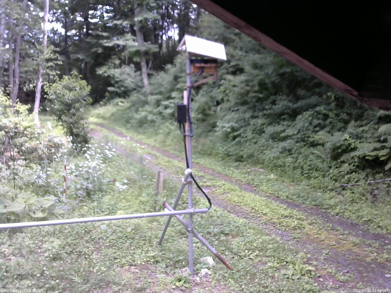 長野県菅平高原 ゆたか山荘 南側 2026/07/17 13:45