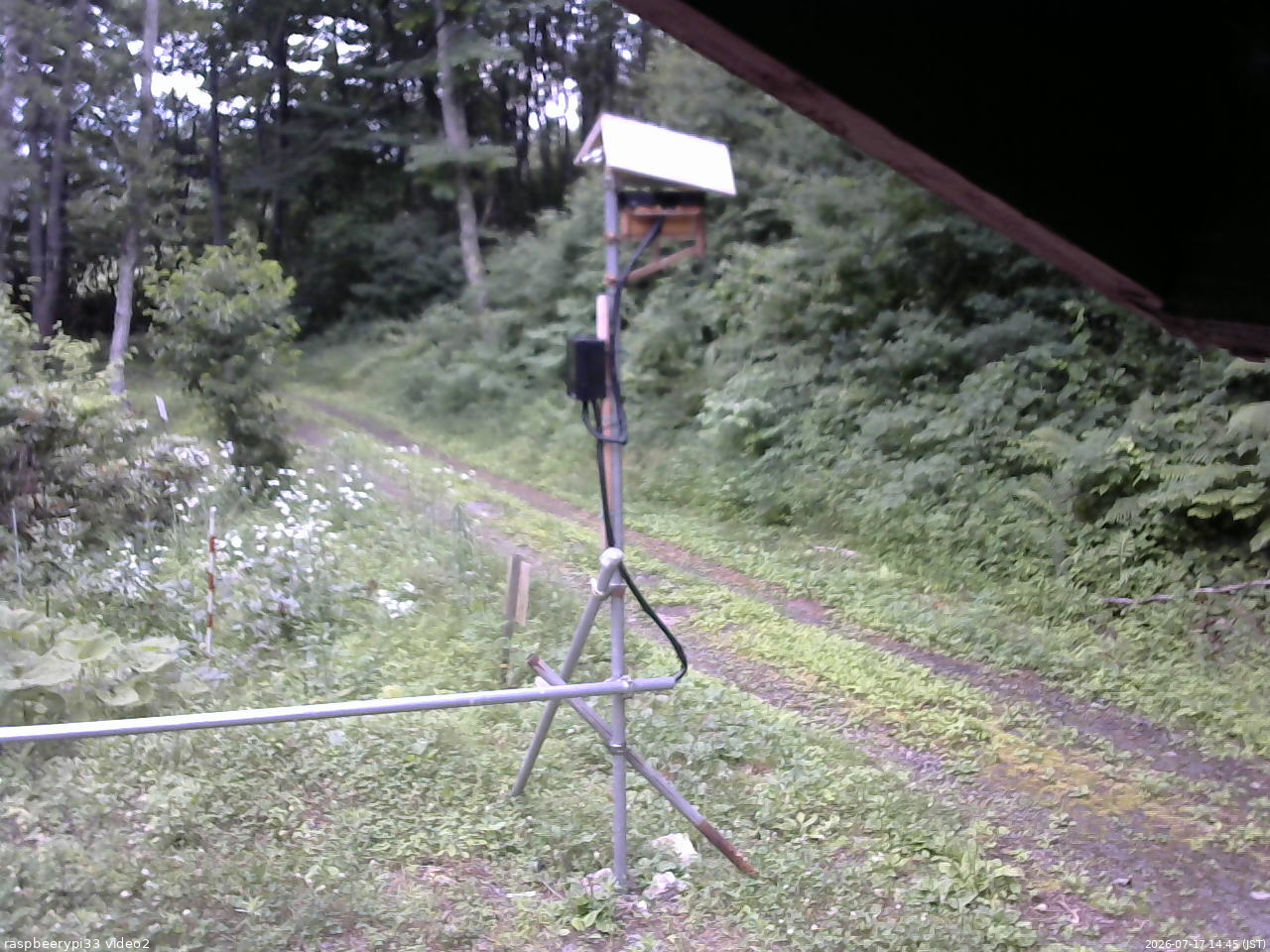 長野県菅平高原 ゆたか山荘 南側 2026/07/17 14:45