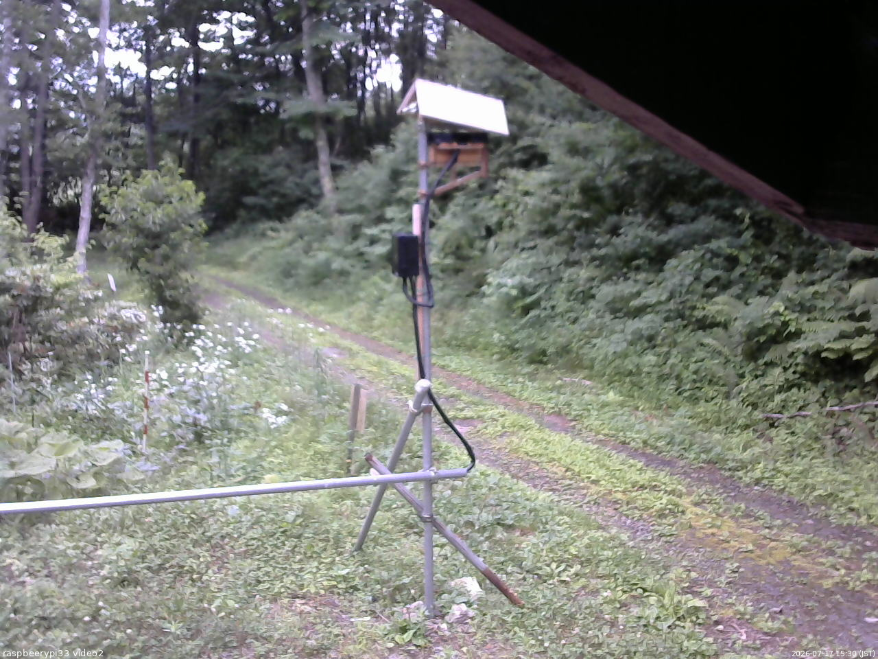 長野県菅平高原 ゆたか山荘 南側 2026/07/17 15:30