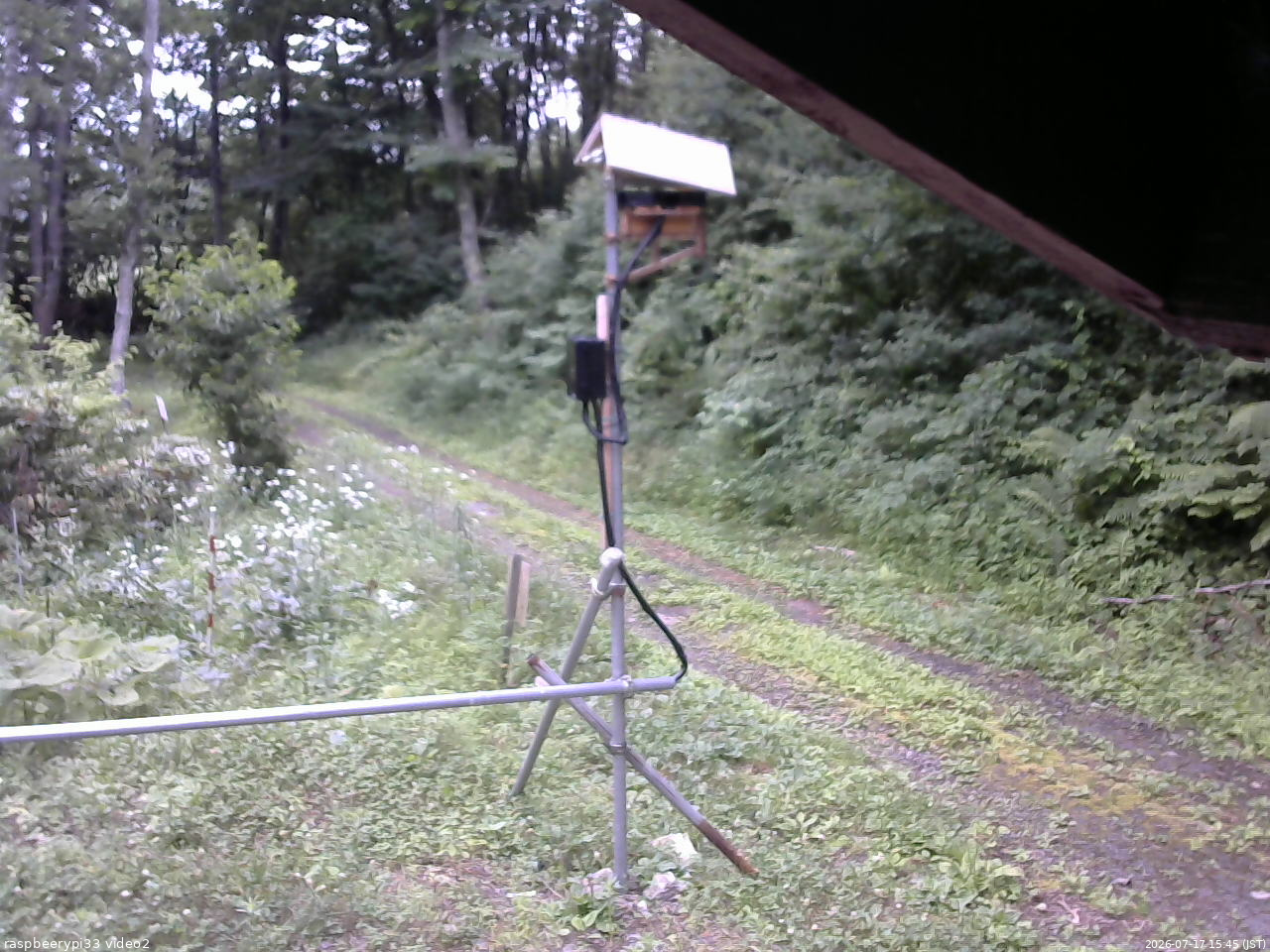 長野県菅平高原 ゆたか山荘 南側 2026/07/17 15:45