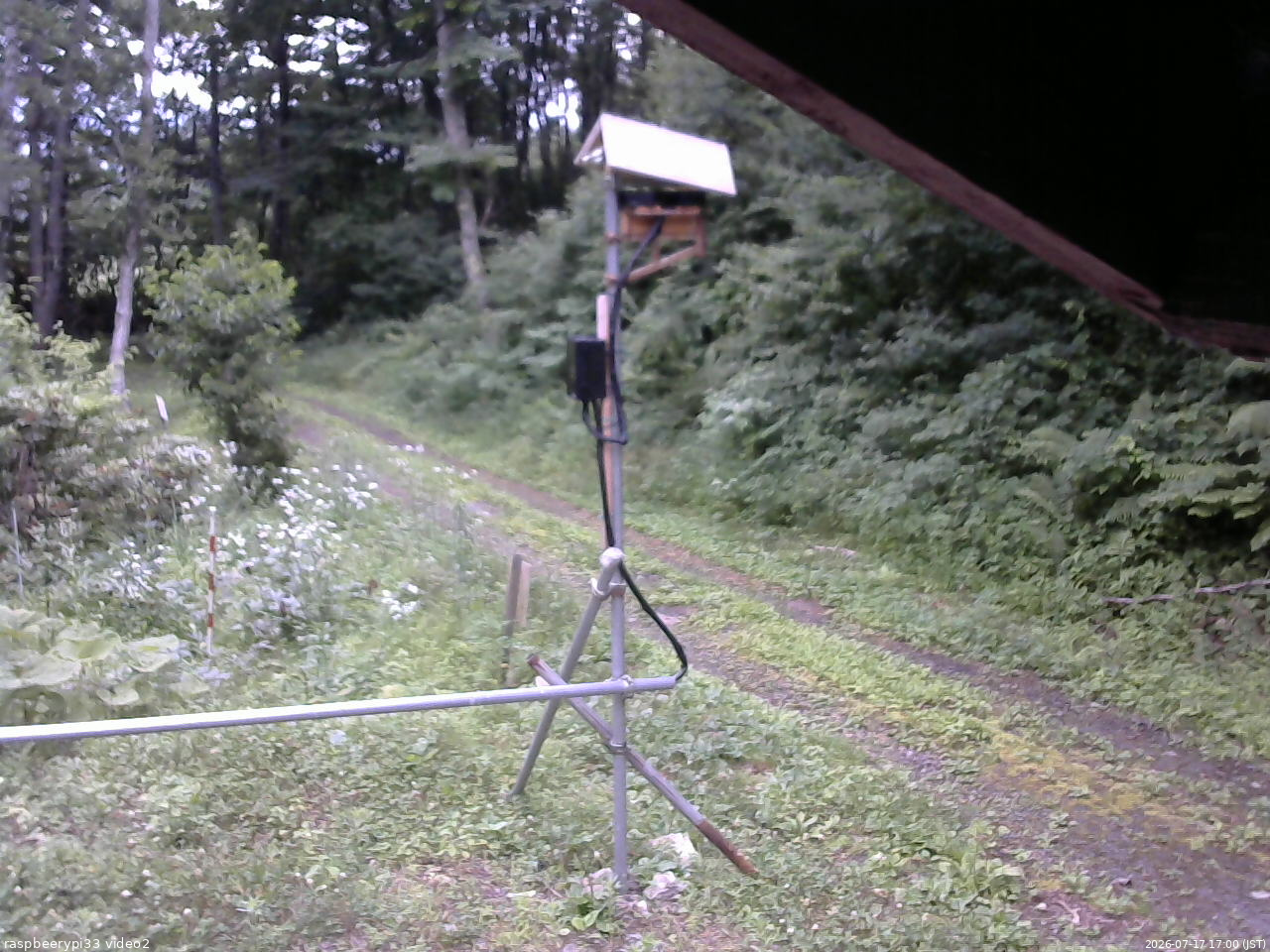 長野県菅平高原 ゆたか山荘 南側 2026/07/17 17:00