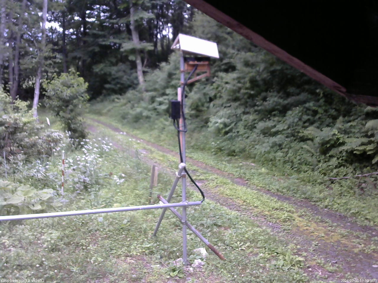 長野県菅平高原 ゆたか山荘 南側 2026/07/17 17:30
