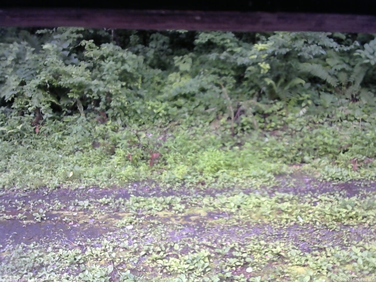 長野県菅平高原 ゆたか山荘 東側(坂下) 2026/07/17 08:00