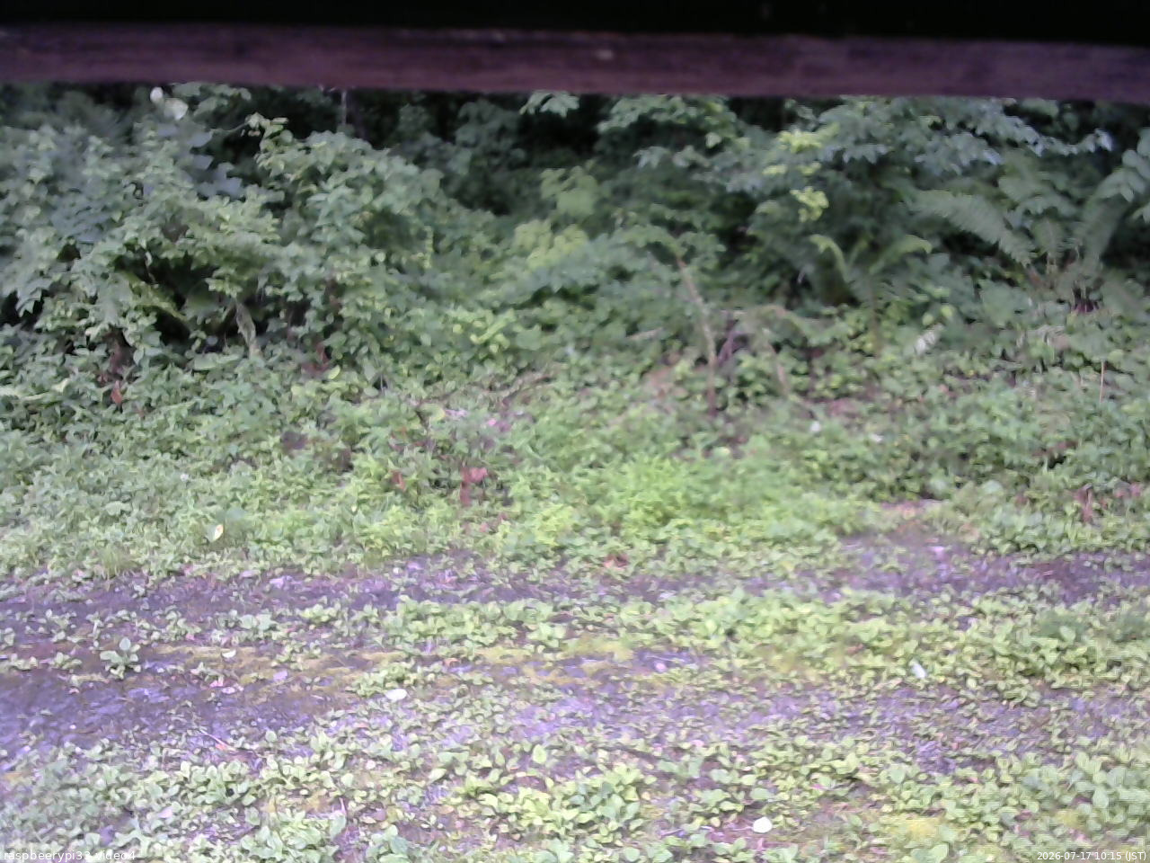 長野県菅平高原 ゆたか山荘 東側(坂下) 2026/07/17 10:15