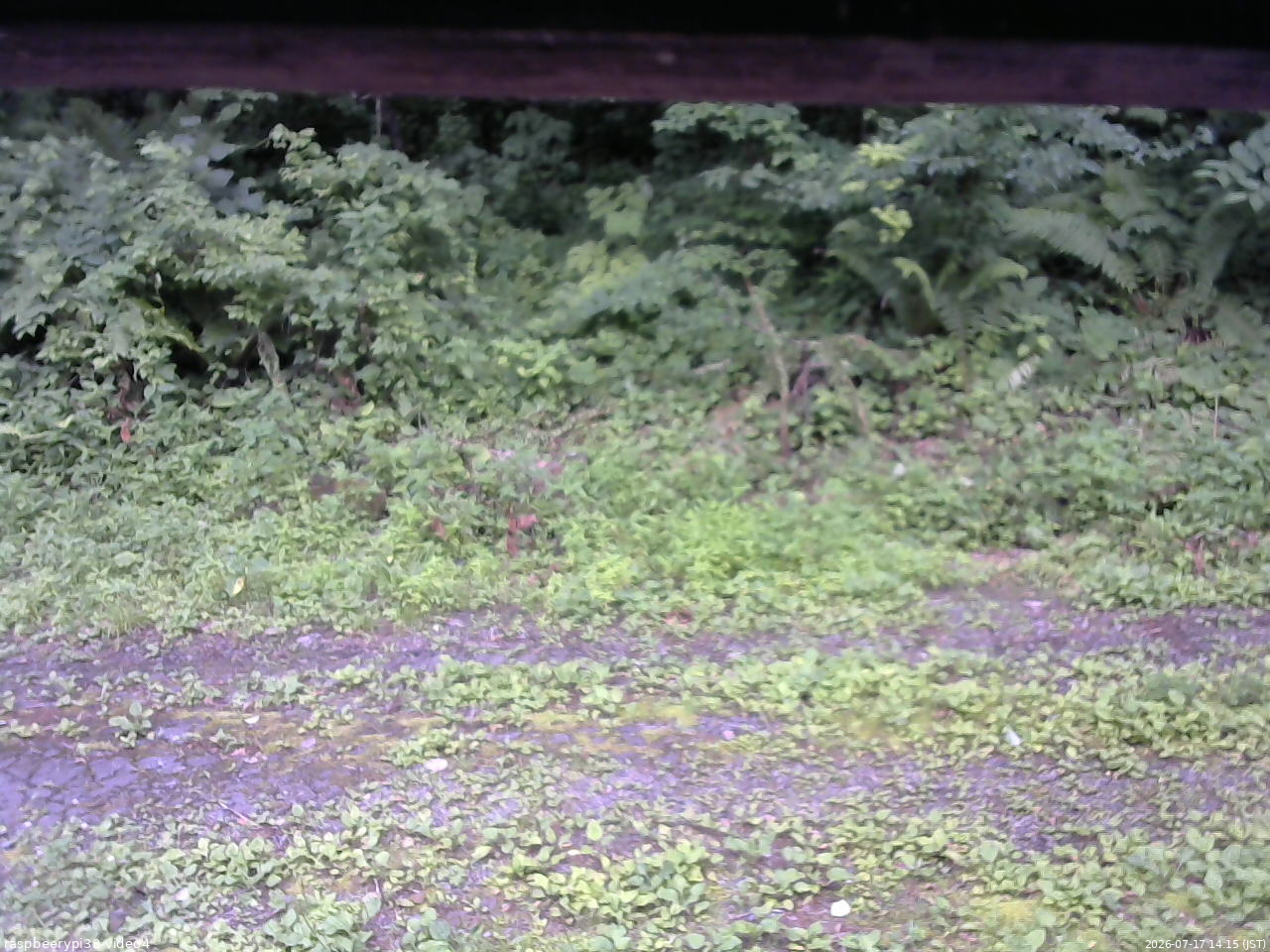 長野県菅平高原 ゆたか山荘 東側(坂下) 2026/07/17 14:15
