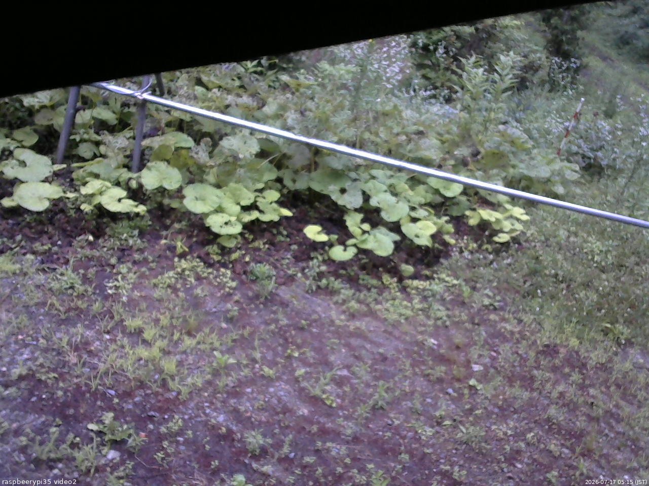 長野県菅平高原 ゆたか山荘 駐車場 2026/07/17 05:15
