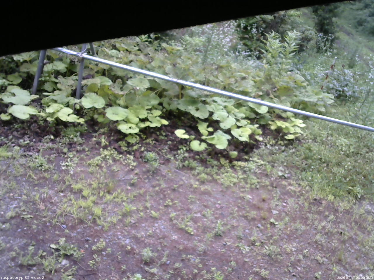 長野県菅平高原 ゆたか山荘 駐車場 2026/07/17 08:00